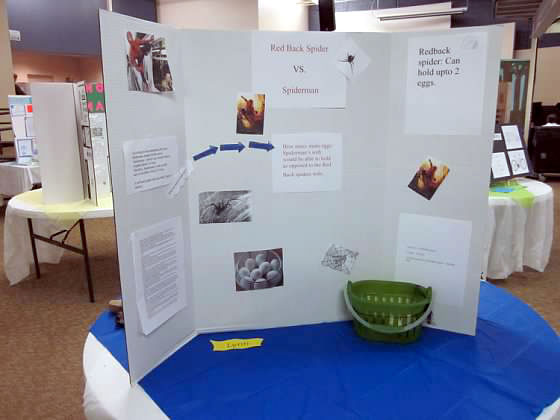 Math Fair exhibit